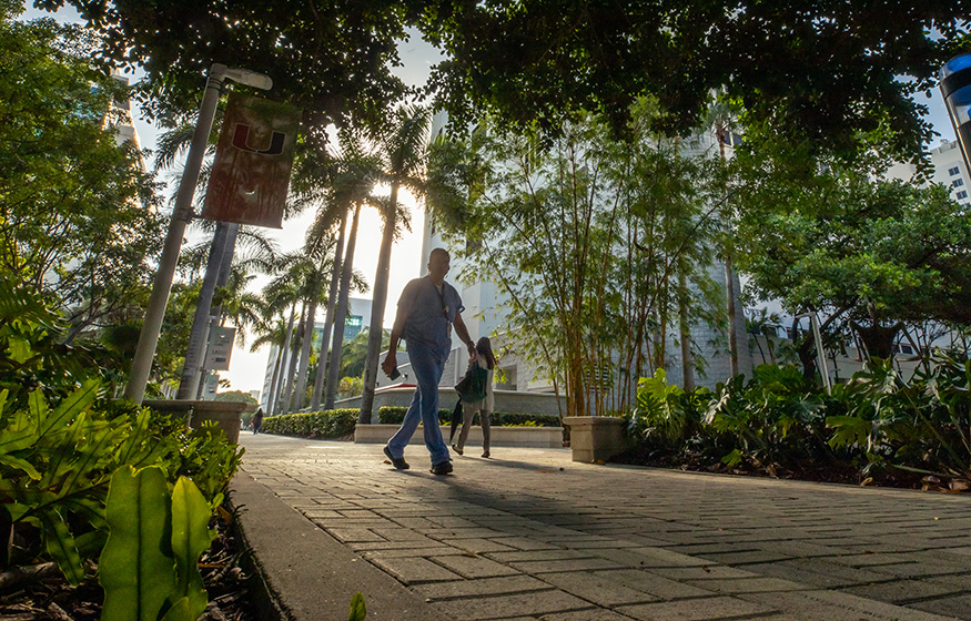 Medical campus in morning