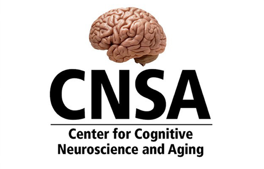 CNSA Large Size logo