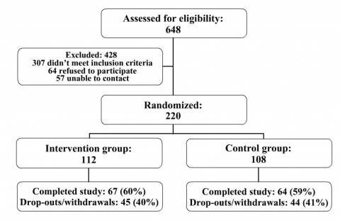Recruitment flow chart