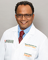 Nagaraj Nagathihalli, Ph.D.
