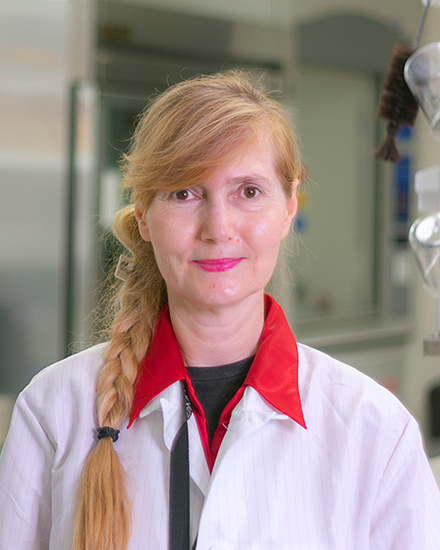 Ibolya Edit Andras, M.D.