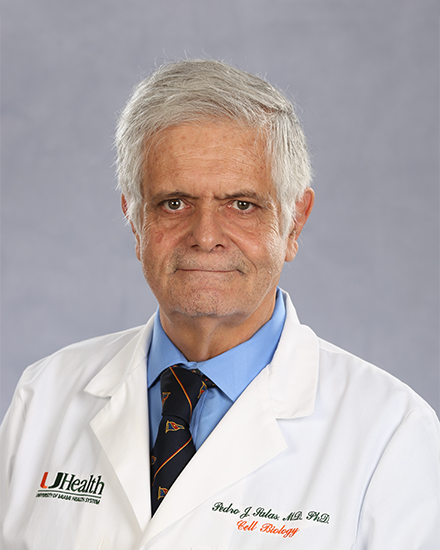 Pedro J Salas, M.D., Ph.D.