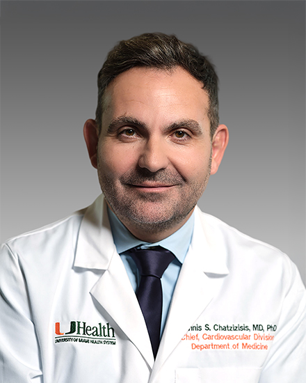 Ioannis S Chatzizisis