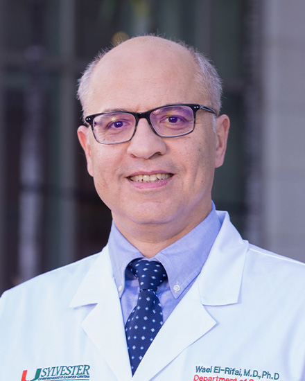 Wael ElRifai MD PhD Miller School Of Medicine