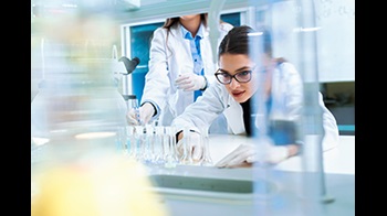 Chemistry and medicine students working in a laboratory