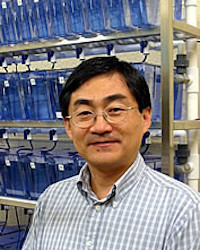 Zhongmin Lu, PhD