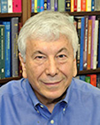 Ozcan Ozdamar, PhD