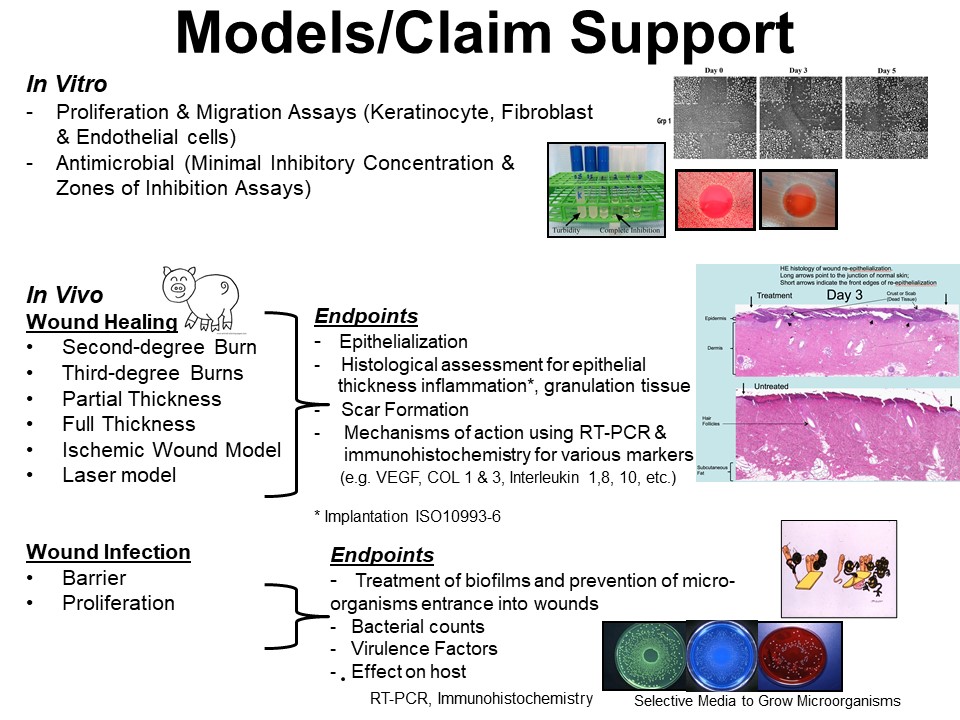 Models Slide