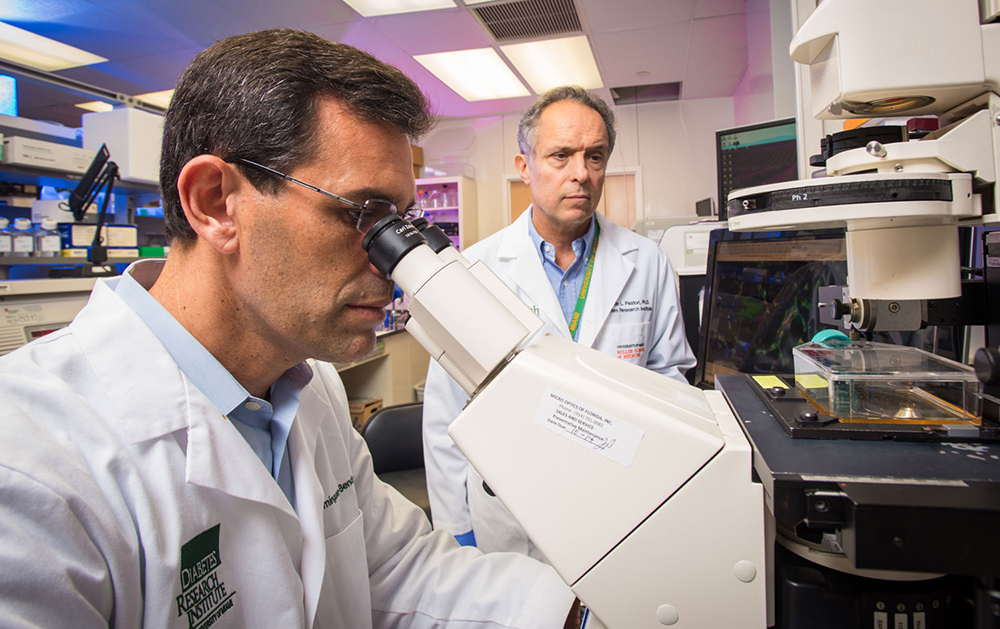 Lab researchers working with a microscope