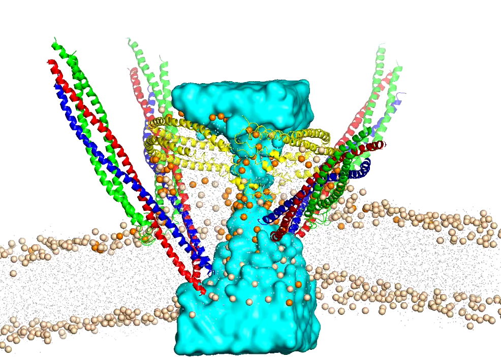 graphical representation of ND Pore