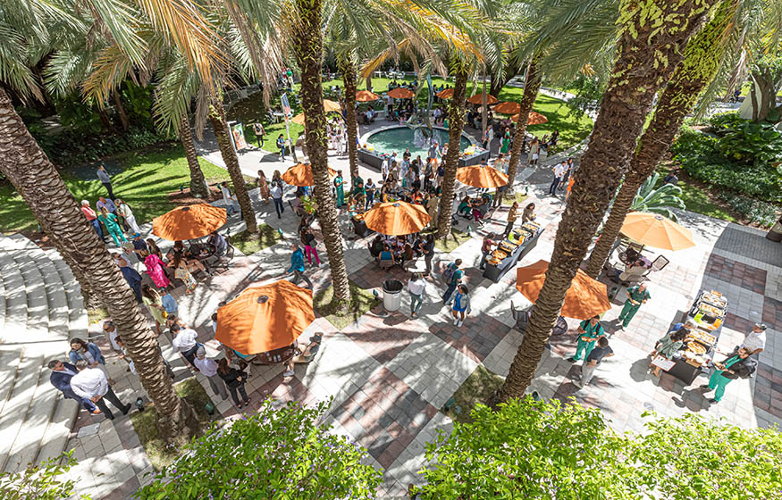 students gather in the research quad