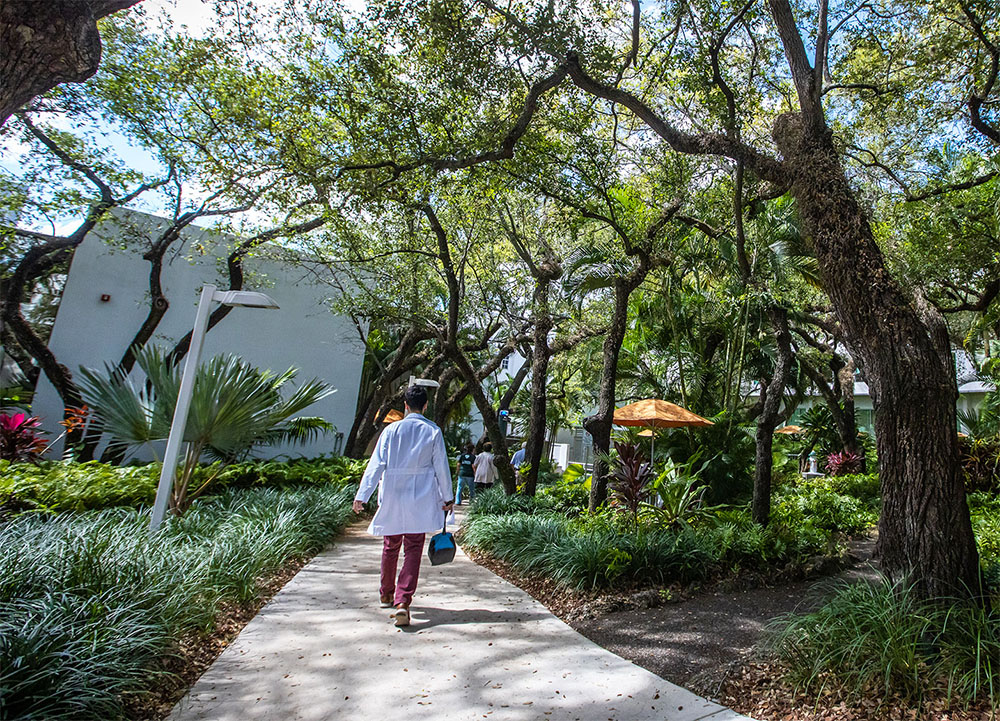 Medical professional walking on a path shaded by trees