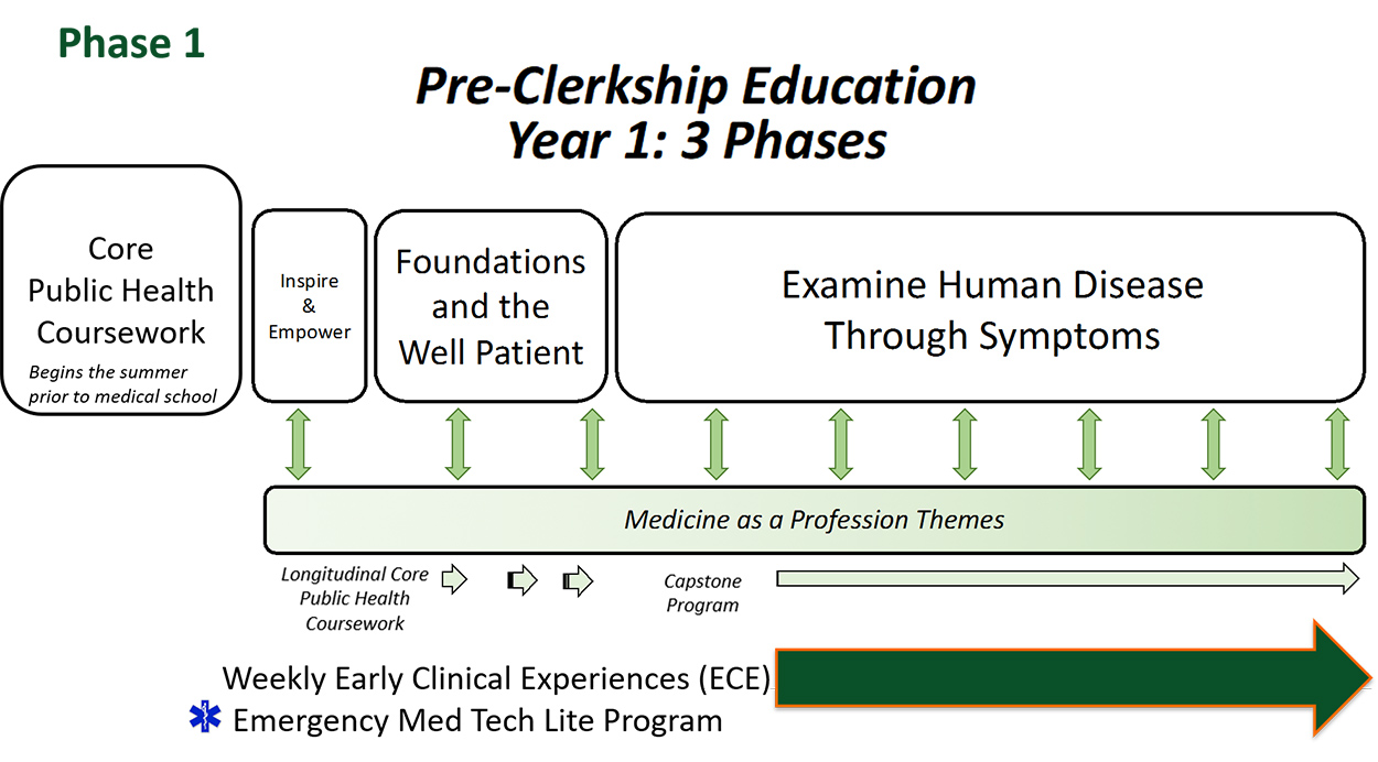 Phase 1 Informational graphic