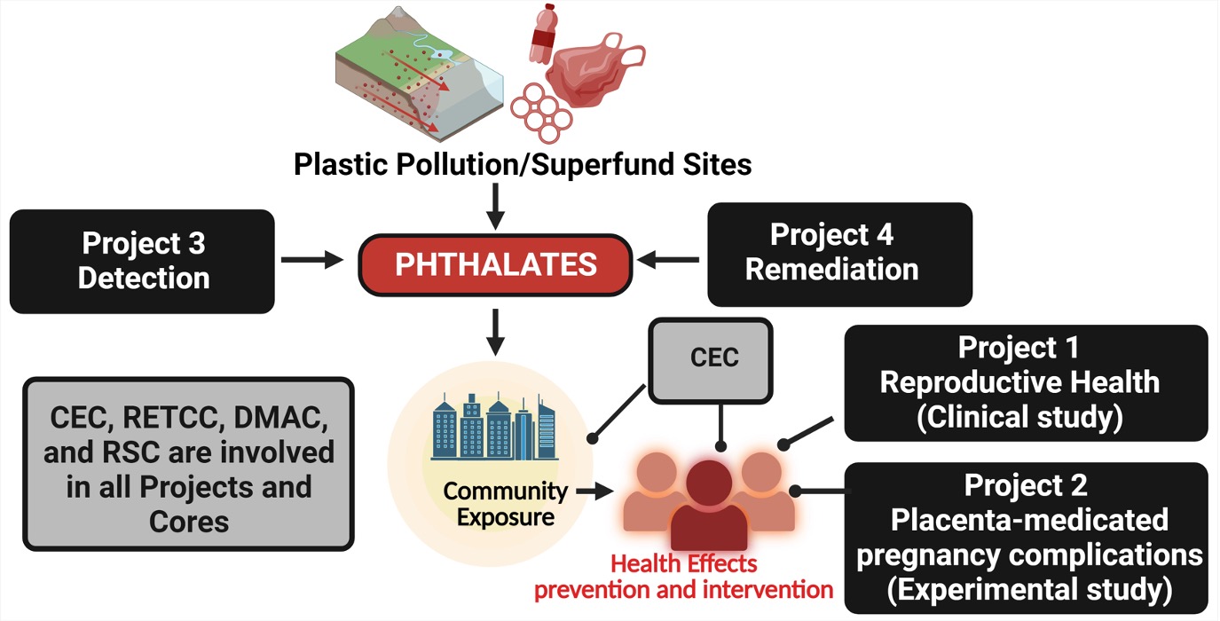 Overall Concept of UM SRP