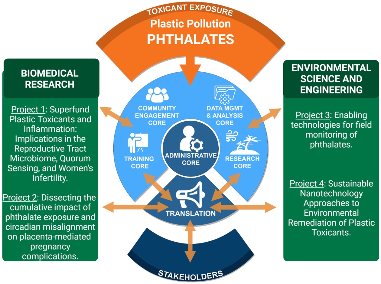 UM SRP - Organizational Structure
