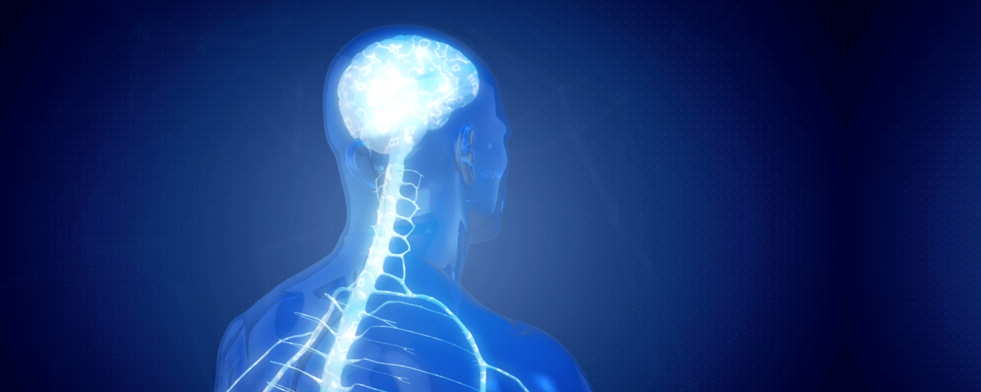 Spinal Cord Injury Graphic