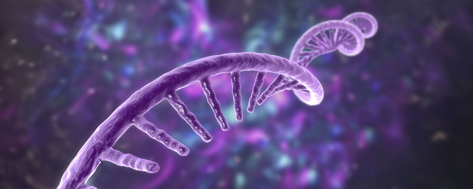 3D illustration of messenger RNA